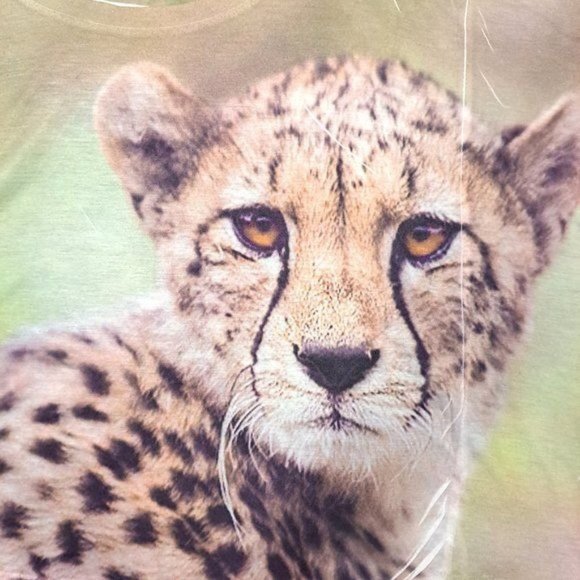 Baby Cheetah Cub 3D Print Slouchy Crop Top T-Shirt - Picture 5 of 9